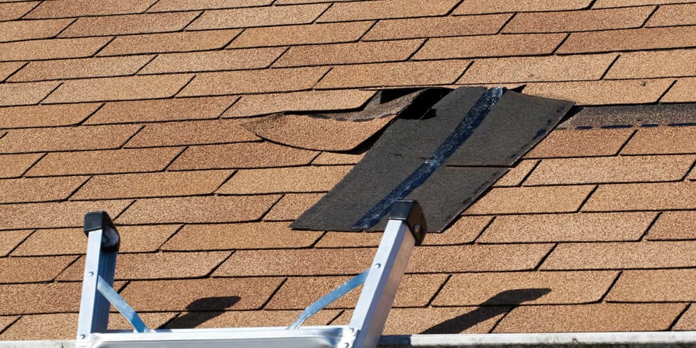 gutter professionals St Louis Park and Twin Cities