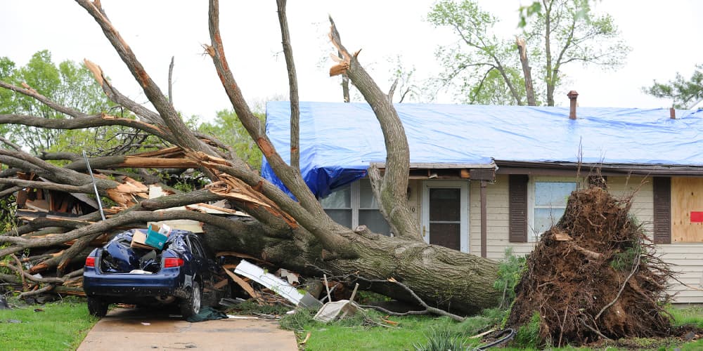 reputable storm damage repair and restoration contractor Twin Cities