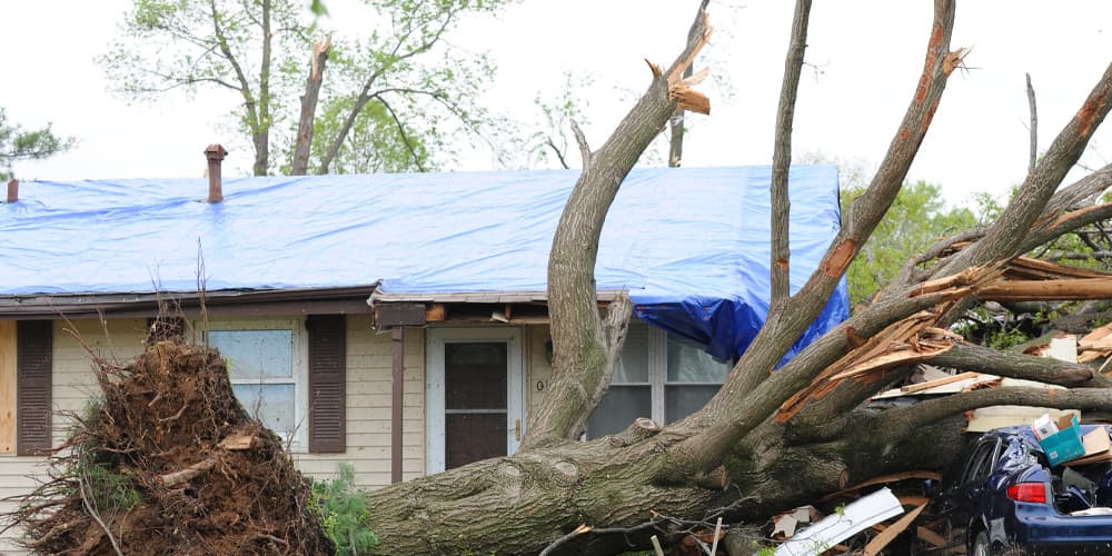 trusted storm damage repair and restoration contractor St Louis Park and Twin Cities